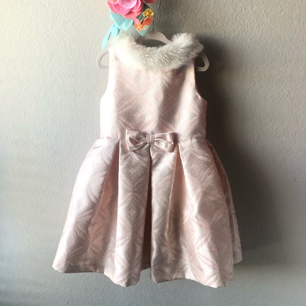 Janie and Jack Girls winter Holiday Pink Dress